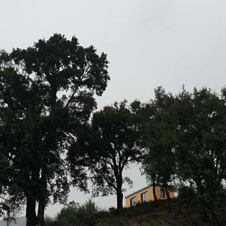 Refugio Do Sobreiro Villa Cabeceiras de Basto Exterior foto